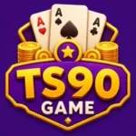 TS90 Game