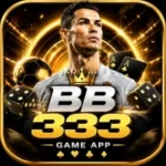 BB333 Game