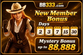 BB333 Game