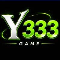 Y333 game