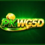 PKWG5D Game